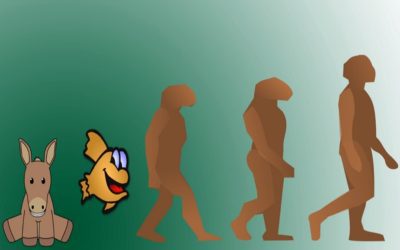 How to Win and Make Money at Poker – 3 Key Concepts to Master